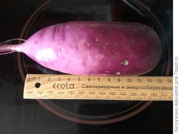 И длина