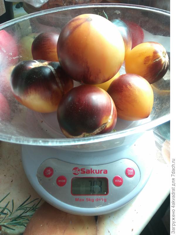 Один из сборов