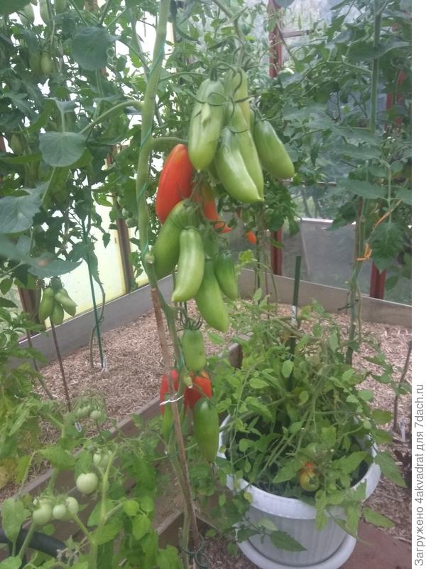 Фото 29 июля