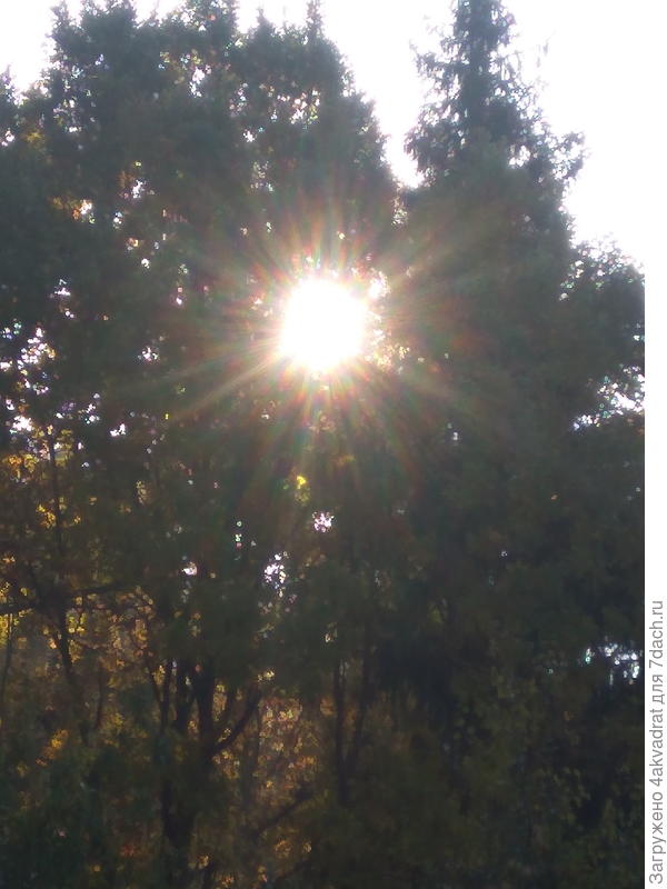 Осеннее солнышко светит, да греет плохо.