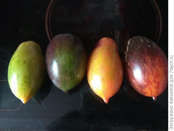 Изменение окраски