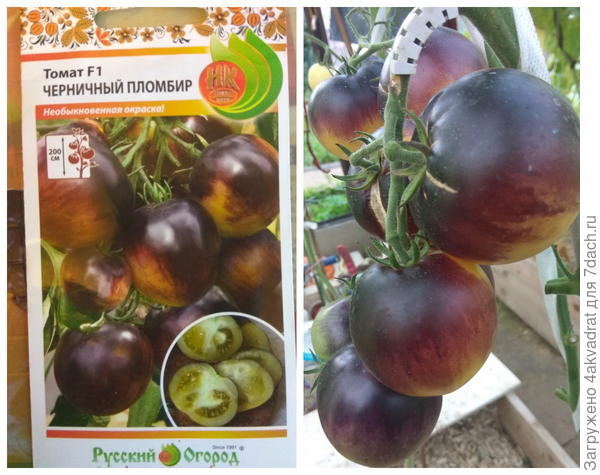 ттт