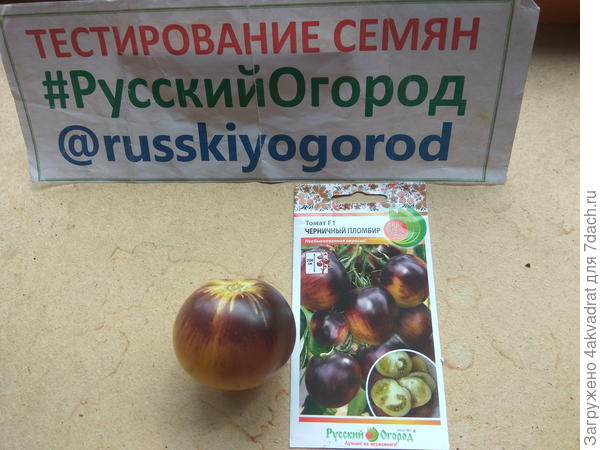 тт