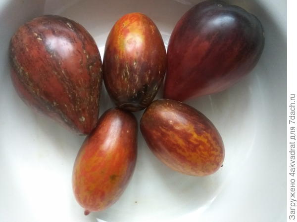 Крайний справа в верхнем ряду - Сержант Пеппер.