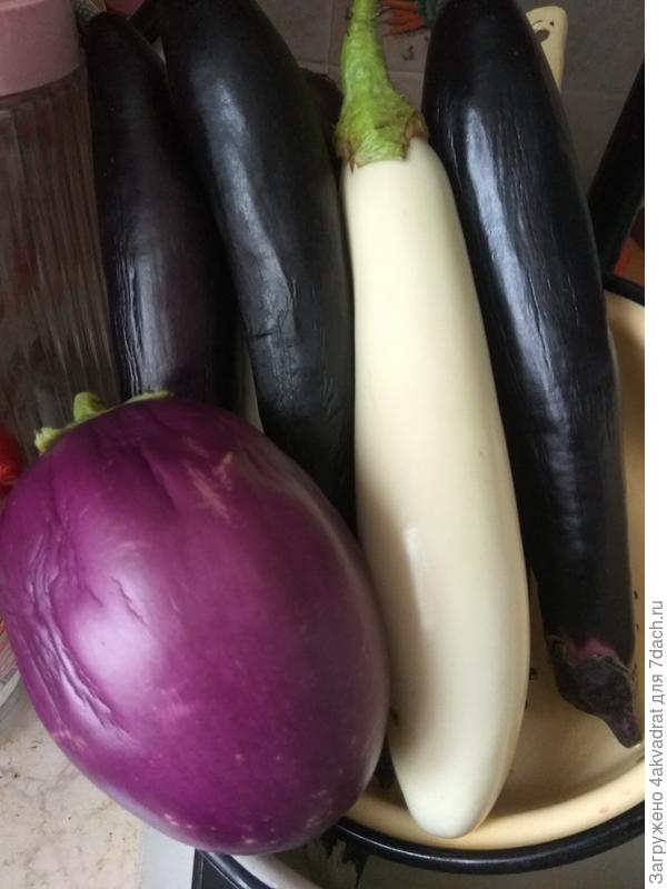 Боровичок, Бибо и Король Севера.