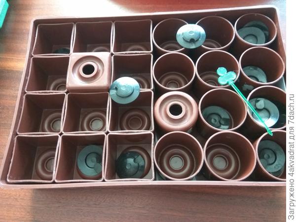 Удобно для небольшой рассады огурцов
