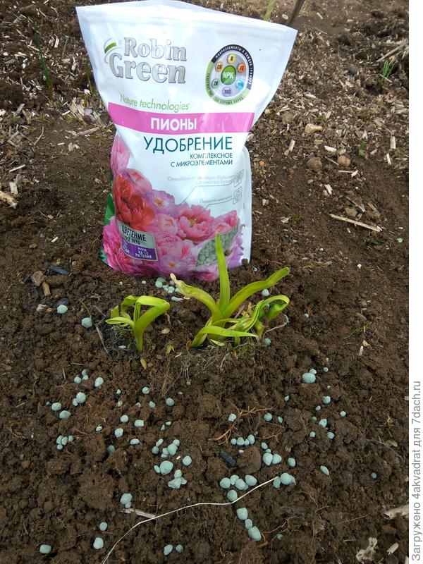 Подкормка удобрением Робин Грин