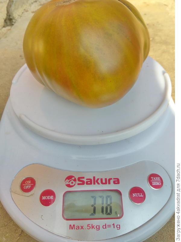 Самый крупный