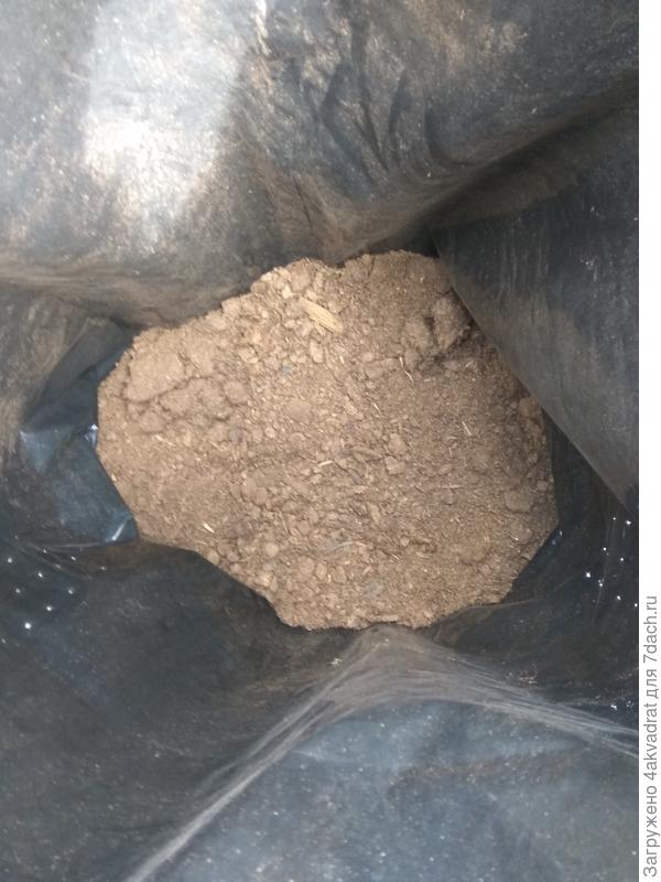 Так выглядит торф