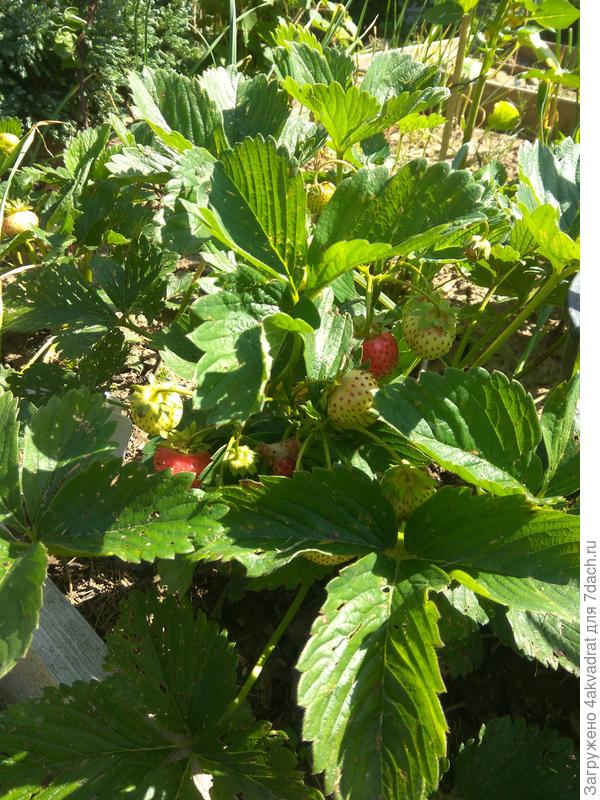 Конец июня 2020 года