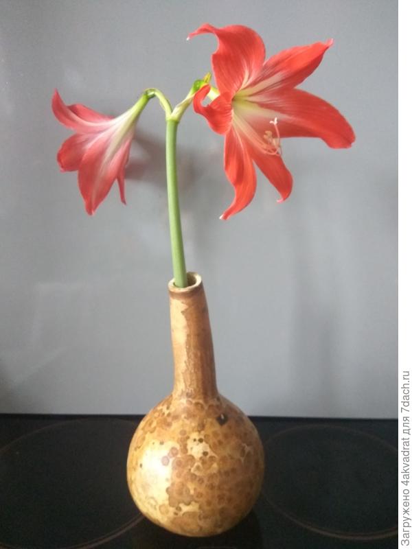 Готовая ваза