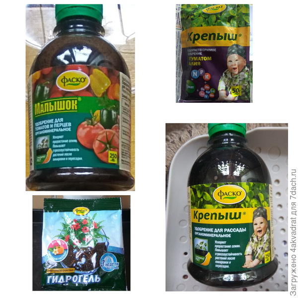 Для рассады