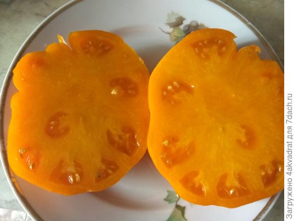 Брендивайн желтый в разрезе, сплошное &quot;мясо&quot;.