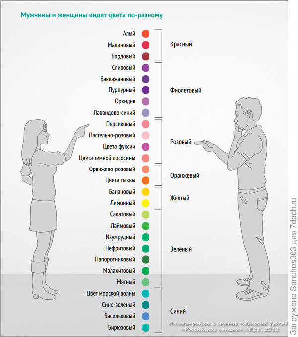 Различия в видении цветов между мужчинами и женщинами