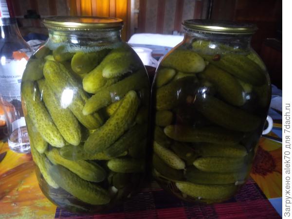 И фирменный маринад на основе ГОСТа томатов с переработкой к огурцу, что стали просто улетать мгновенно:)