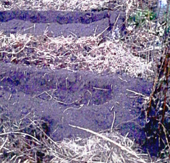 Октябрь. Траншеи.