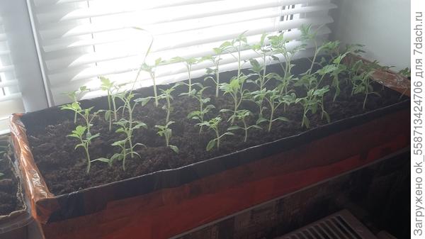 Привет всем! Девчонки, а как вам вот такие самодельные ящики из картонных коробок?