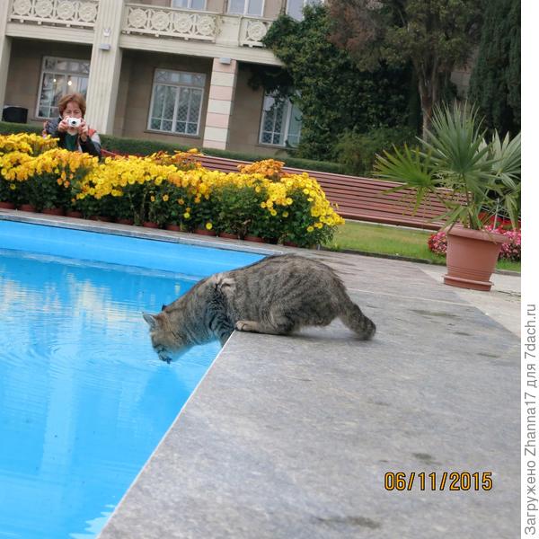 И такие посетители были:)