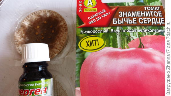 раствор приготовила согласно инструкции на упаковке.
