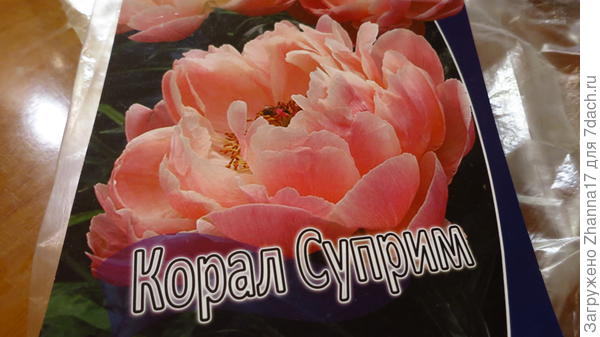 ррр