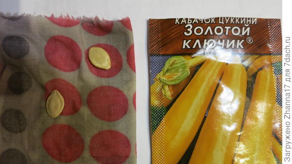 ввв