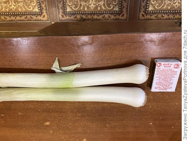 Танюша, вот самые толстые прошлогодние