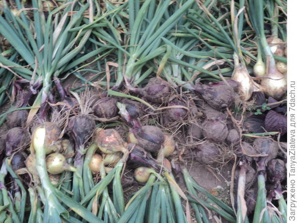 ну это конечно не все, а только то, что влезло на фото