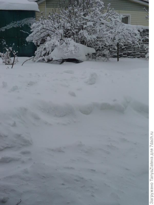 вид с крыльца