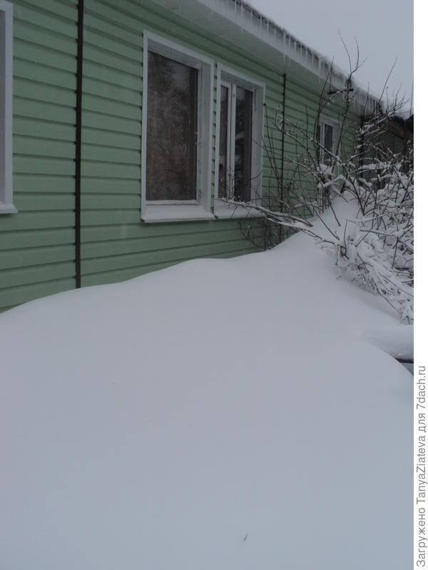 сугробы под стеной дома!!! тут правда еще весь снег, который с крыши сползал эти дни