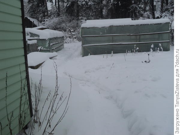 дорожка на огород, сын чистил в начале первого днем)