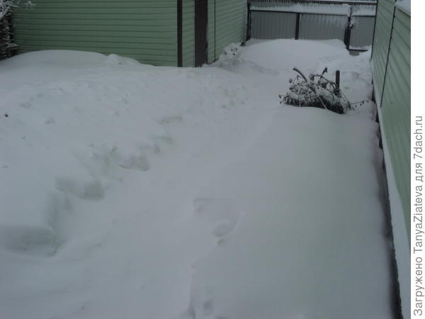 дорожка к гаражу и калитке, в 11 утра чистила и уже не видно