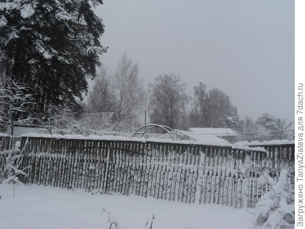 за забором соседний участок и дальше еще дома....