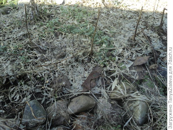 вот она сейчас какая