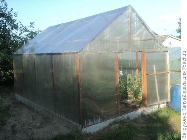 общий вид, теплица 3 на 4