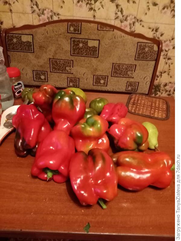 "кусочек" прошлогоднего урожая перца, "Екатерина"