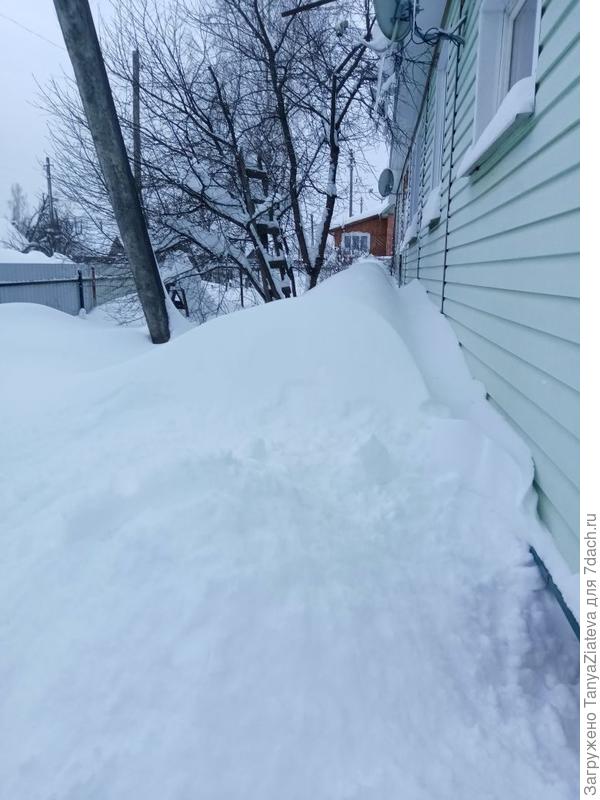 мой палисадник