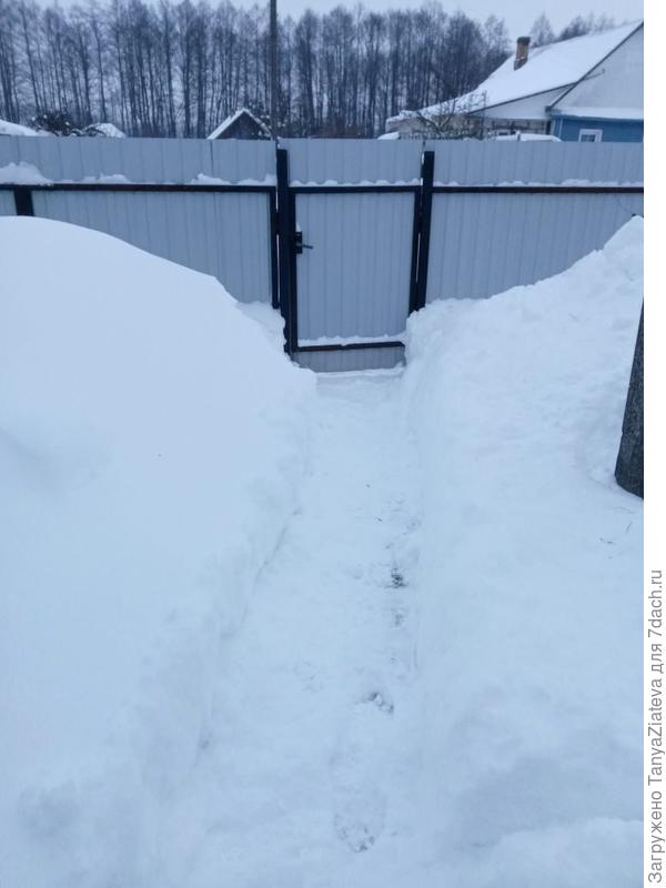 проход к калитке, слева - дворик возле гаража