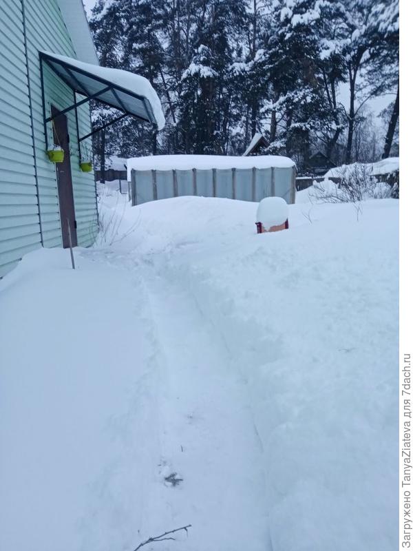 тропка к дому и дальше к огороду