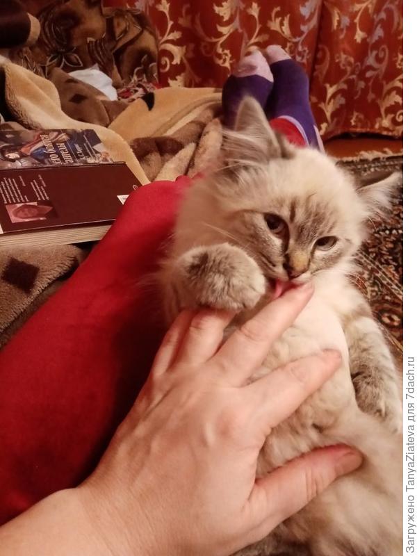 ласковый мой)))