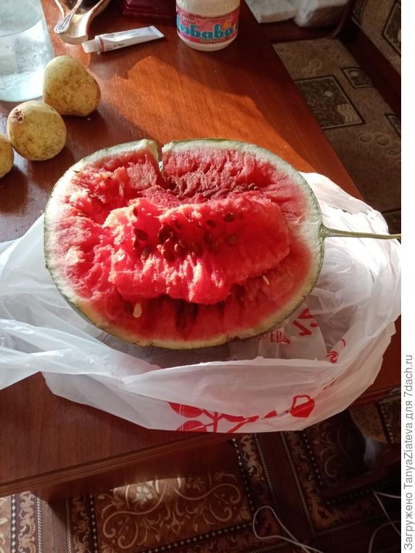 это мы арбузик сорвали с самым маленьким внучком нашей бабушки, с Ванюшкой, и так он у нас раскололся аппетитно))))