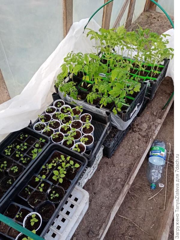 общий видок))