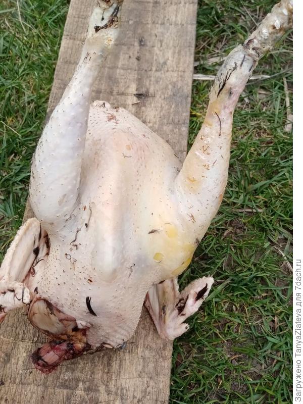 больная нога....