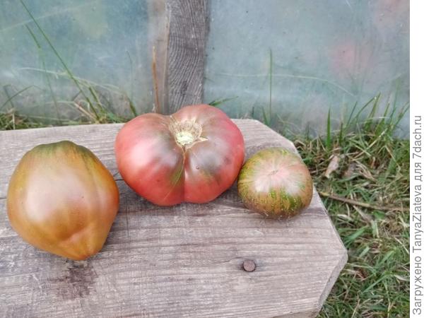 пурпурное сердце, розелла и стринги. Еще не пробовала)))