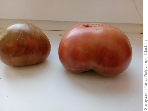 слева Черный огонь, справа - Голубые побрякушки