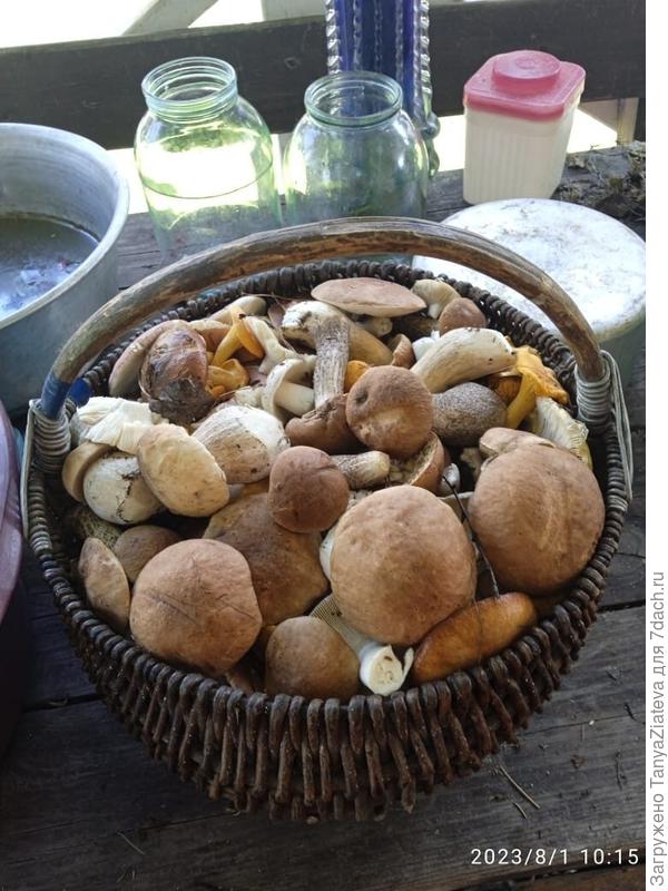 а это мама съездила вчера за озеро с утра))