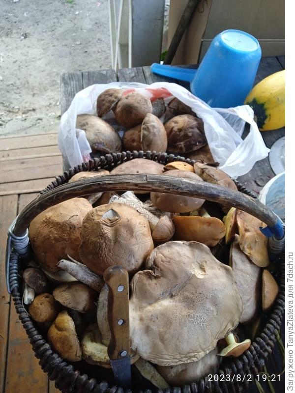 это мамочка через дорогу сходила после 17 часов))