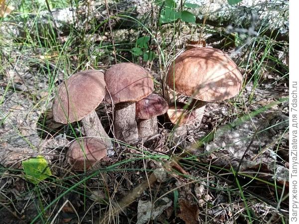 это уже в куртке ходила и с соседкой