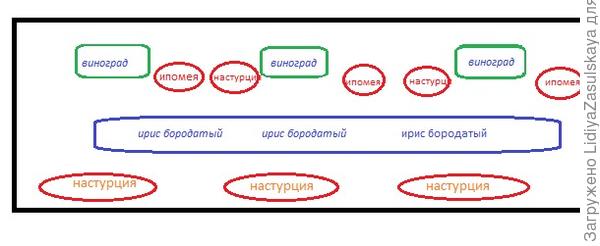 схема клумбы
