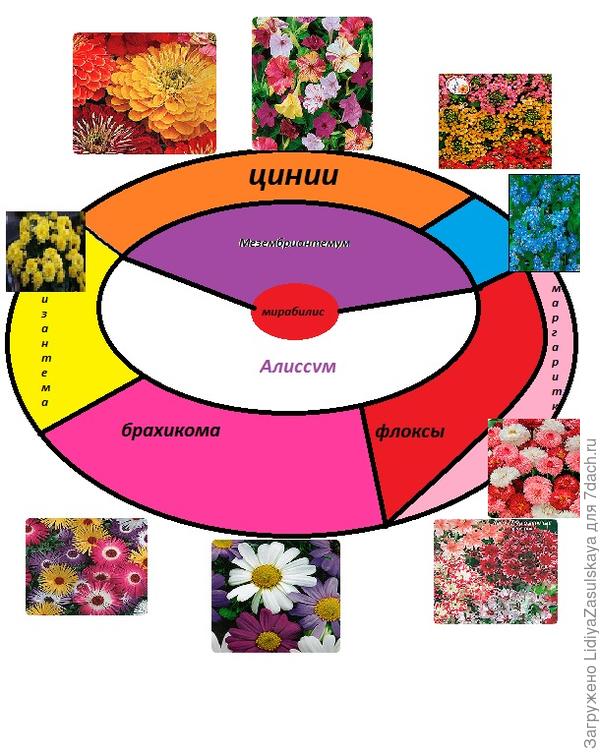 схема центральной клумбы