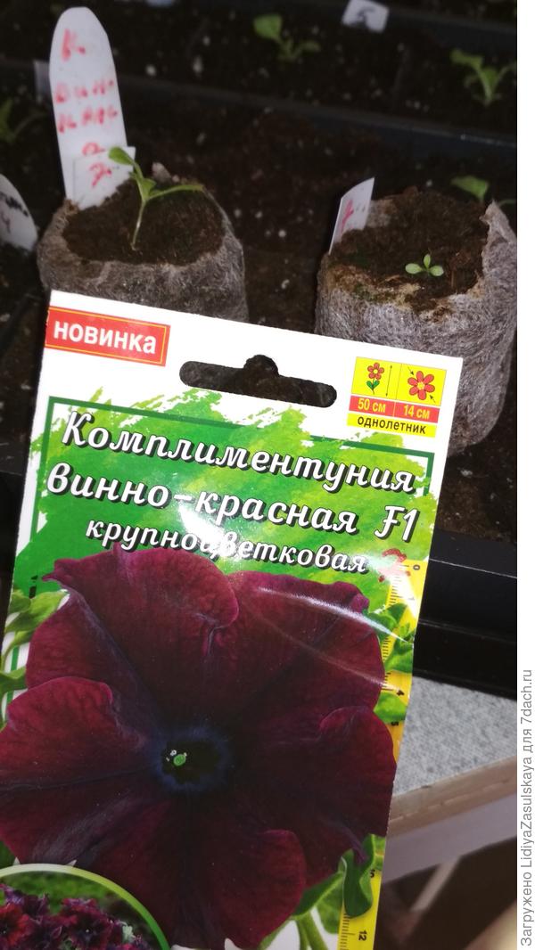 в таблетках